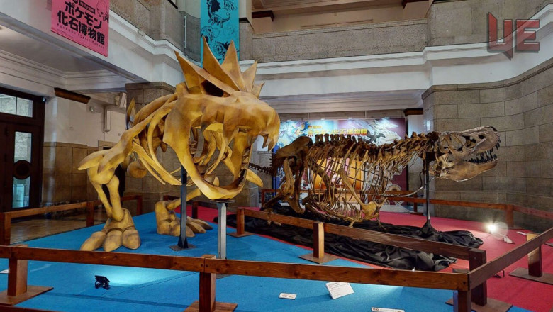 Pokémon Fosil Müzesi ABD'ye geliyor, bilet almak isteyeceksiniz