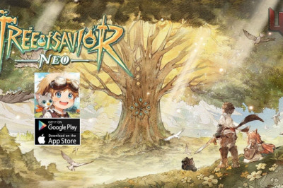 Tree of Savior: NEO Yeni Sunucu Açtı