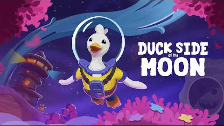 Duck Side of the Moon