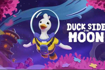 Duck Side of the Moon