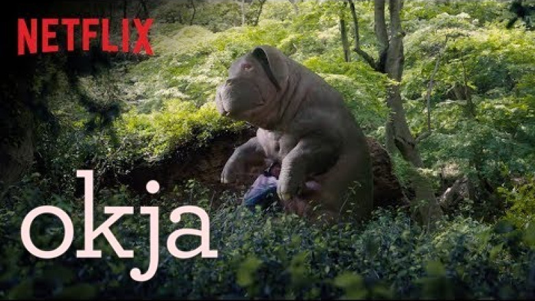 10 Film Çekim Deneyimi ve Bitkisel Yaşam Tarzı