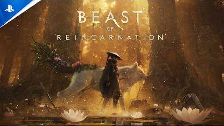 Beast of Reincarnation