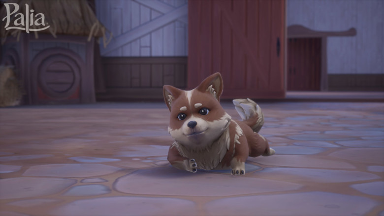 Palia’da Sonbahar Şenliği: Hearty Homecoming Güncellemesi ve Ranch Corgileri