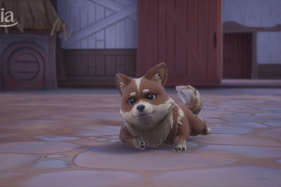 Palia’da Sonbahar Şenliği: Hearty Homecoming Güncellemesi ve Ranch Corgileri